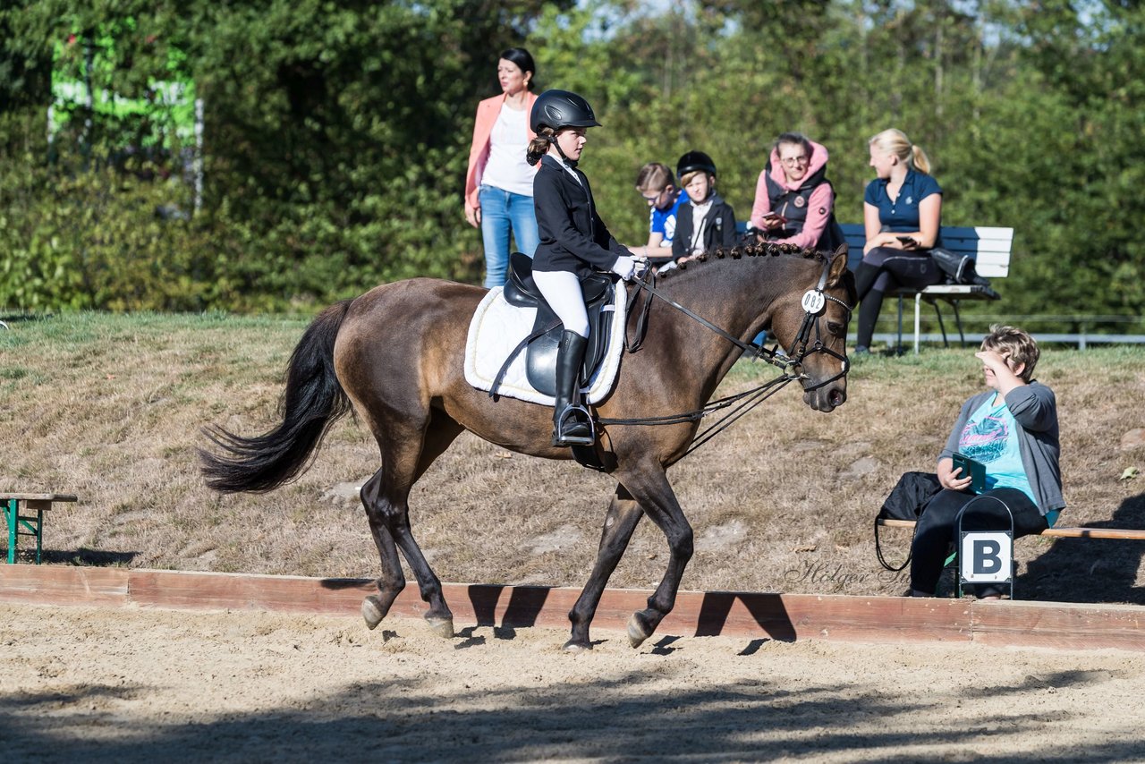 Bild 71 - Pony Akademie Turnier